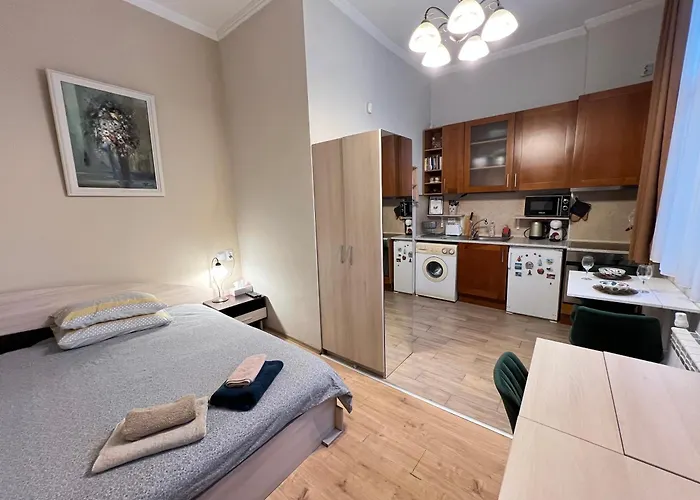 Budapest Central Cozy Studio W Working Space And Wifi